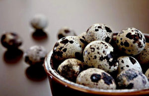 26244087475_f3523d5b21